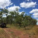 Illustration for article titled AWOL Around Australia... Part 40. East Arnhem Land. Part 1